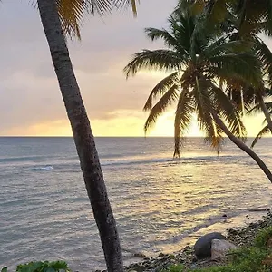 https://simple-hollywood-beach.comcaribbean.com